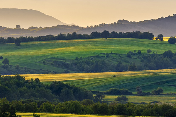 可降解的紙膠帶是怎么煉成的？